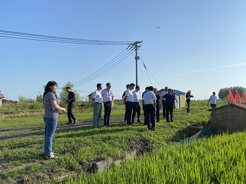 图2 凌月明副部长考察长发镇万亩天然富硒水稻示范基地