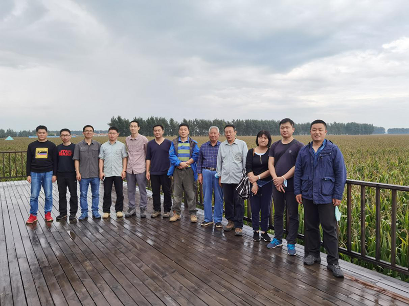 在梨树县百万亩玉米标准化基地进行综合调研工作